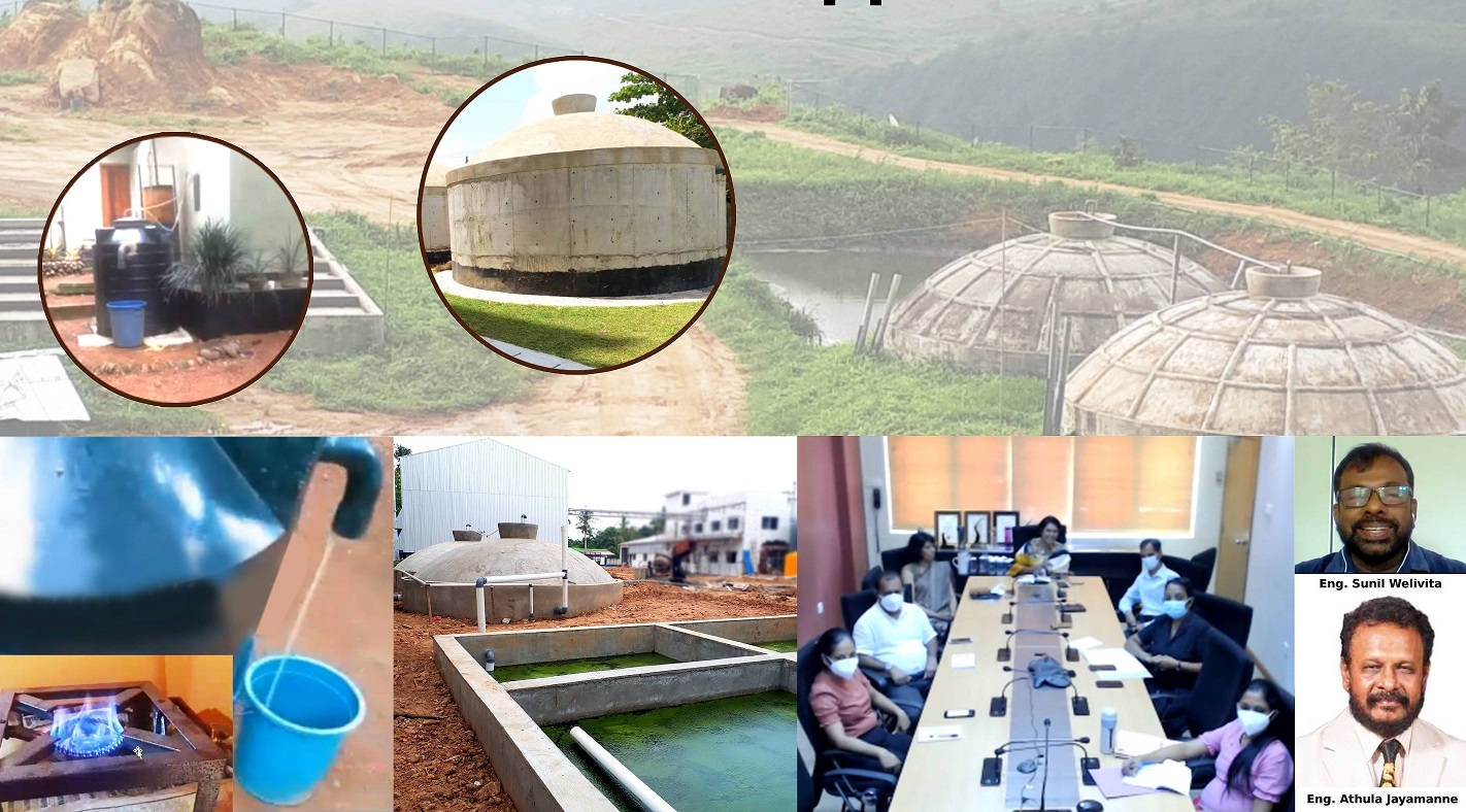 Production of biogas: an effective alternative to LPG !