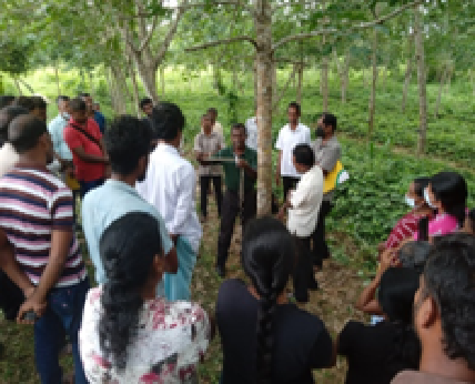 NSF supports to boost sustainable Rubber latex yields of the country facilitating to introduce a new tapping technique 