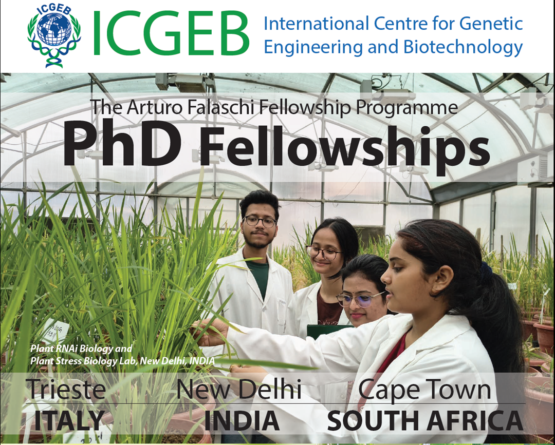 Call for Applications - ICGEB Fellowship Programme 2026