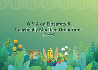 Q & A on Biosafety & Genetically Modified Organisms